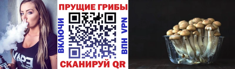 закладки  Можга  Псилоцибиновые грибы Magic Shrooms 